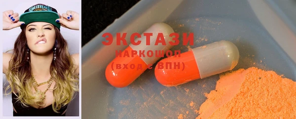 гашик Козельск