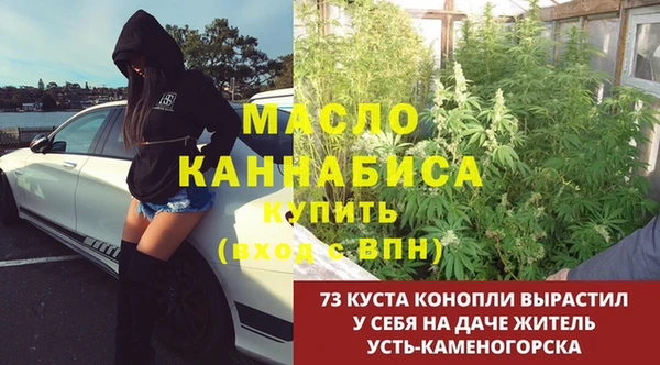 мдпв Кодинск