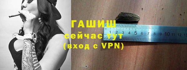 гашик Козельск