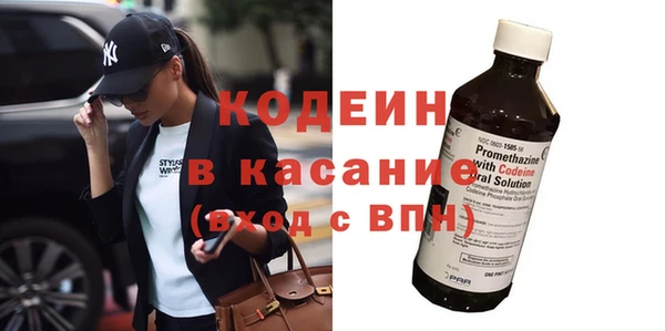 гашик Козельск