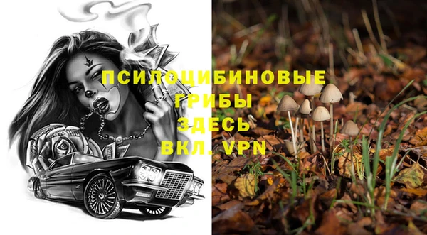 амф Козловка