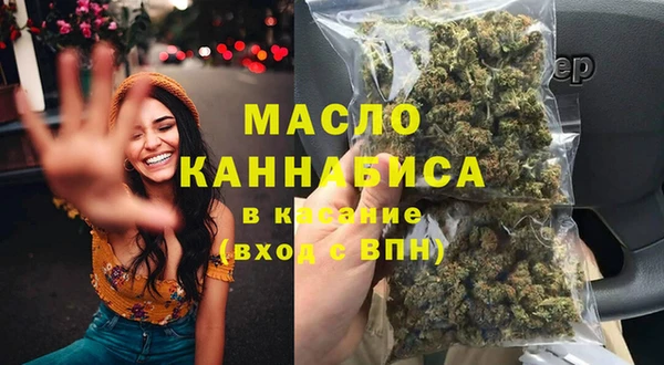 гашик Козельск