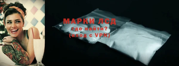 гашик Козельск