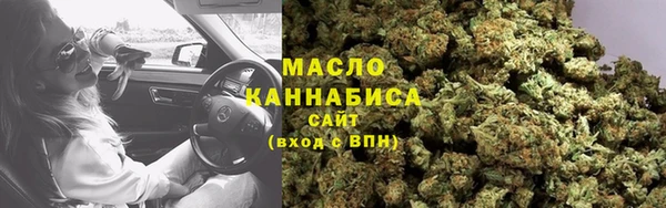 гашик Козельск