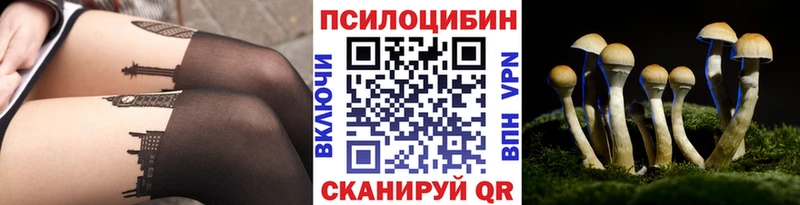 Галлюциногенные грибы GOLDEN TEACHER  Купить  Давлеканово 